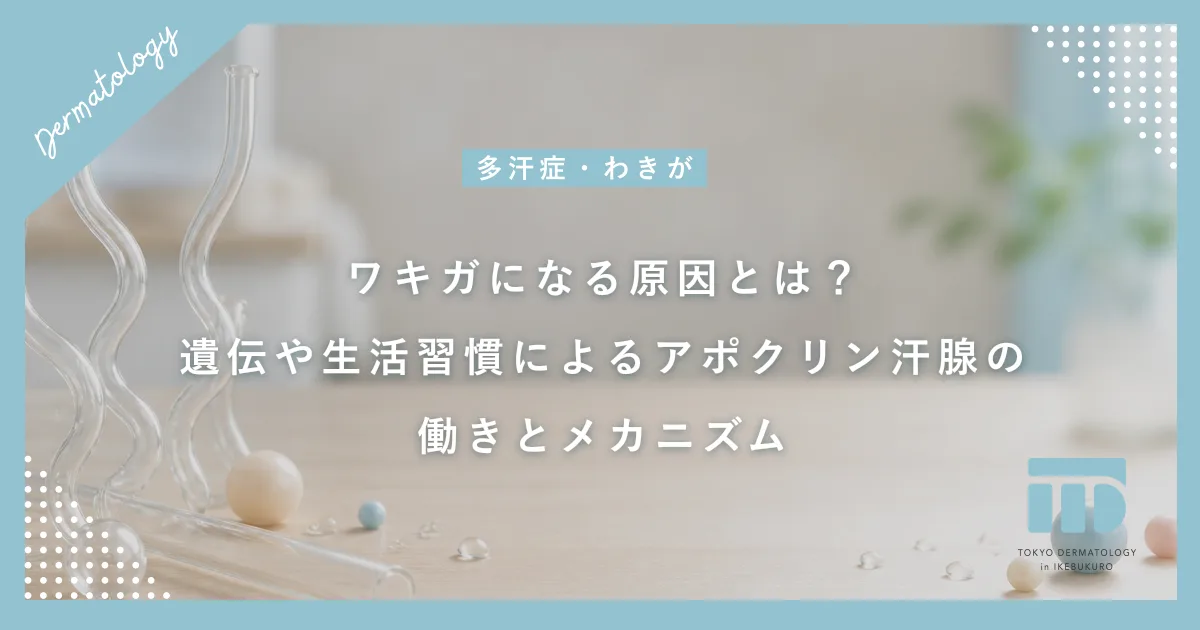 ワキガになる原因とは？遺伝や生活習慣によるアポクリン汗腺の働きとメカニズム