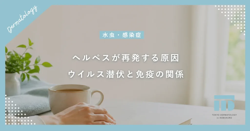 【ヘルペスの原因】なぜ再発する？ウイルスが潜伏する仕組みと免疫低下の関係