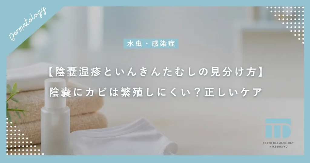 【陰嚢湿疹といんきんたむしの見分け方】陰嚢にカビは繁殖しにくい？正しいケア