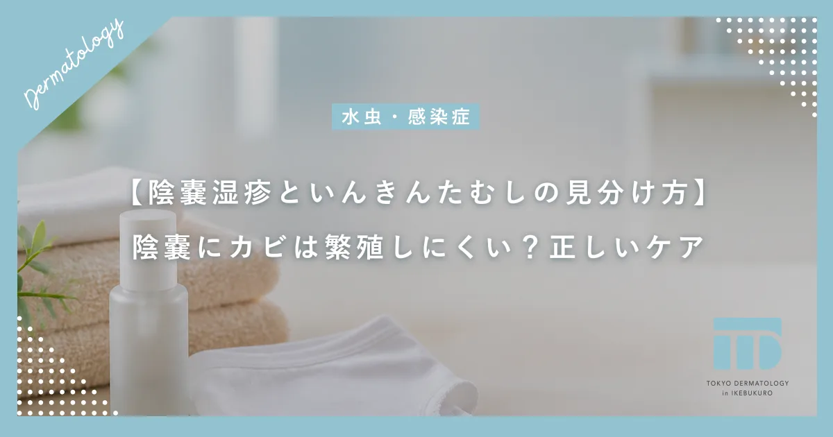 【陰嚢湿疹といんきんたむしの見分け方】陰嚢にカビは繁殖しにくい？正しいケア